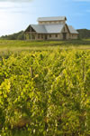 Vermilion Valley Vineyards