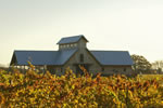 Vermilion Valley Vineyards